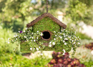 Plantable Maison Patio Birdhouse - outdoor ready to hang