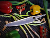 Achilles Chef's Knife by Sternsteiger