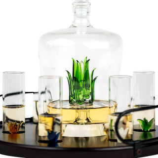 Season and Stir™ Tequila Agave Decanter With 6 Shot Glasses And Stand - GIFT GUIDE