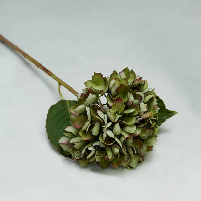 Season and Stir™ - Hydrangea Chloris - Artificial Flower