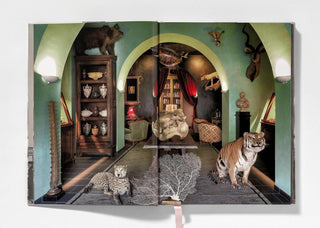 An inspiring scene from Massimo Listri's Cabinet of Curiosities, featuring furniture and decor that enhance the narrative of wonder.