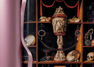 Gorgeous imagery from Massimo Listri's Cabinet of Curiosities reflecting the wonder of historical collections.
