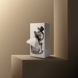 Catsby Tissue Box