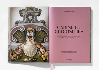 Luxurious layout featuring minerals and curiosities from Massimo Listri's Cabinet of Curiosities.