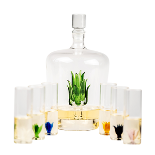 Season and Stir™ Tequila Agave Decanter With 6 Shot Glasses And Stand - GIFT GUIDE