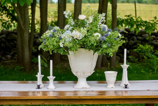 Stylish Season and Stir™ Sophia Ceramic Vase showcased on a kitchen island.