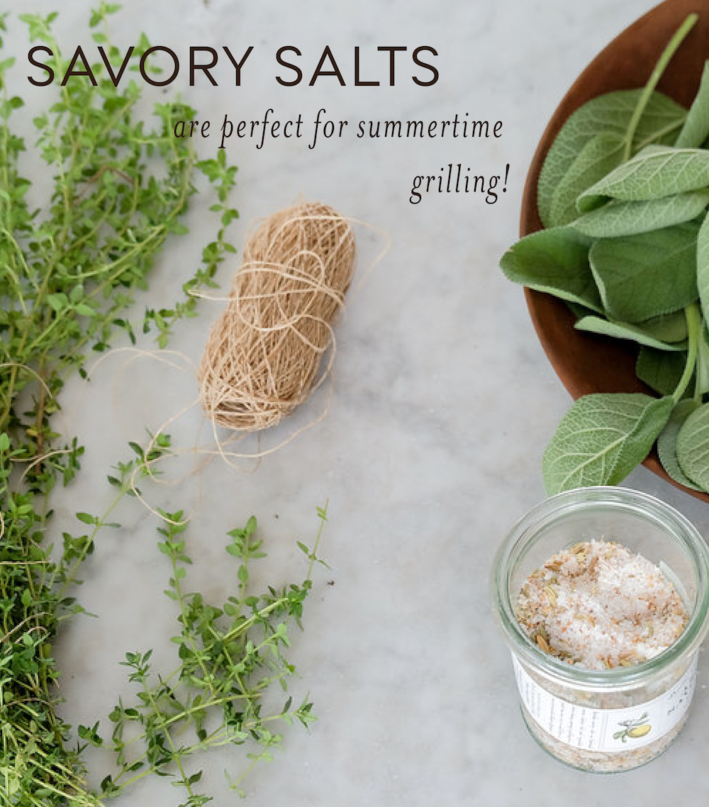 Season and Stir™ Citrus & Fennel Savory Salt by Bella Cucina