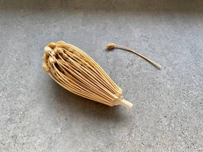 Season and Stir™ RIVSALT™ Natural Flower Toothpick