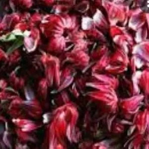 Season and Stir™ HIBISCUS Mustard by The Popote